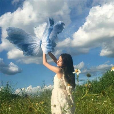 纽约鼠患